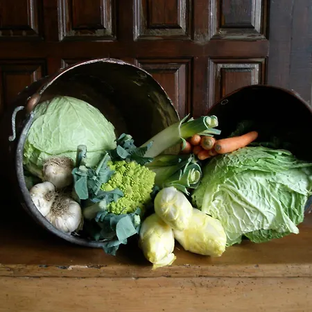 Casa de hóspedes San Francisco *